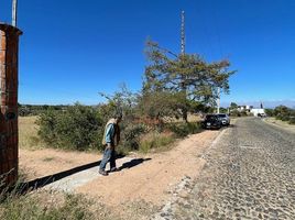  Terreno (Parcela) en venta en Huichapan, Hidalgo, Huichapan