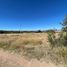  Terreno (Parcela) en venta en Huichapan, Hidalgo, Huichapan