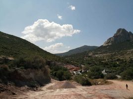  Terreno (Parcela) en venta en Ezequiel Montes, Querétaro, Ezequiel Montes