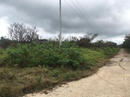  Grundstück zu verkaufen in Chicxulub Pueblo, Yucatan, Chicxulub Pueblo