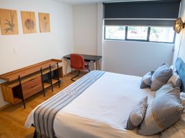 1 Schlafzimmer Wohnung zu vermieten in Miguel Hidalgo, Mexico City, Miguel Hidalgo, Mexico City