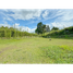 Terrain à vendre à Rionegro, Antioquia, Rionegro, Antioquia