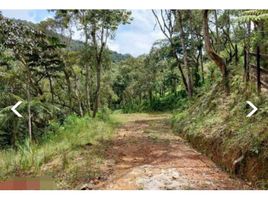  Land for sale in Envigado, Antioquia, Envigado