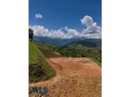  Terreno (Parcela) en venta en Bolivar, Antioquia, Bolivar