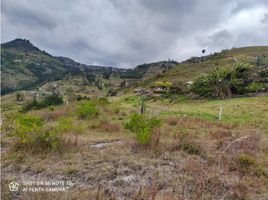 Studio Appartement zu verkaufen in Cuenca, Azuay, Cuenca, Cuenca