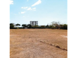  Land for sale in Cocle, Rio Hato, Anton, Cocle