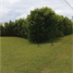  Land for sale in Cocle, Rio Hato, Anton, Cocle