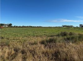  Terrain for sale in Uruguay, Entre Rios, Uruguay