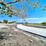  Land for sale in Miacatlan, Morelos, Miacatlan
