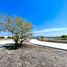  Land for sale in Miacatlan, Morelos, Miacatlan