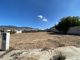  Terreno (Parcela) en venta en Pachuca De Soto, Hidalgo, Pachuca De Soto, Hidalgo