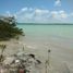  Terrain for sale in Othon P Blanco, Quintana Roo, Othon P Blanco