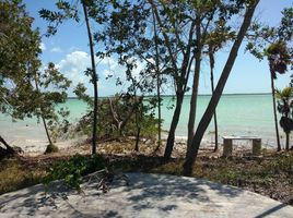  Terrain for sale in Othon P Blanco, Quintana Roo, Othon P Blanco