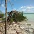  Terrain for sale in Othon P Blanco, Quintana Roo, Othon P Blanco