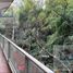 2 Bedroom Apartment for sale in Miguel Hidalgo, Mexico City, Miguel Hidalgo