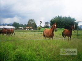  Land for sale in Rionegro, Antioquia, Rionegro