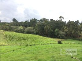 3 Habitación Villa en venta en El Carmen De Viboral, Antioquia, El Carmen De Viboral