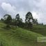 3 Schlafzimmer Villa zu verkaufen in El Carmen De Viboral, Antioquia, El Carmen De Viboral