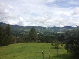  Terreno (Parcela) en venta en El Carmen De Viboral, Antioquia, El Carmen De Viboral