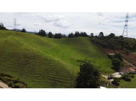  Terreno (Parcela) en venta en El Carmen De Viboral, Antioquia, El Carmen De Viboral