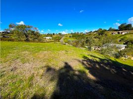  Terreno (Parcela) en venta en El Carmen De Viboral, Antioquia, El Carmen De Viboral