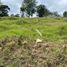  Terreno (Parcela) en venta en Rionegro, Antioquia, Rionegro, Antioquia