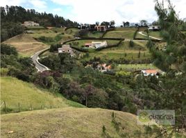  Land for sale in Envigado, Antioquia, Envigado