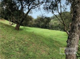  Land for sale in Envigado, Antioquia, Envigado