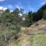 Terrain à vendre à Rionegro, Antioquia, Rionegro