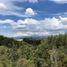 Terrain à vendre à Rionegro, Antioquia, Rionegro