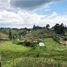  Terreno (Parcela) en venta en El Carmen De Viboral, Antioquia, El Carmen De Viboral