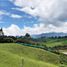  Terreno (Parcela) en venta en El Carmen De Viboral, Antioquia, El Carmen De Viboral