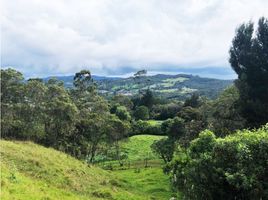 Terrain à vendre à Medellin, Antioquia, Medellin