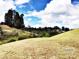  Land for sale in El Carmen De Viboral, Antioquia, El Carmen De Viboral