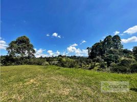  Land for sale in Marinilla, Antioquia, Marinilla