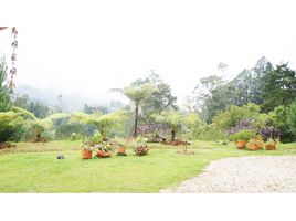  Land for sale in Rionegro, Antioquia, Rionegro