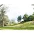  Land for sale in Rionegro, Antioquia, Rionegro
