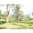  Land for sale in Rionegro, Antioquia, Rionegro