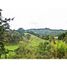  Land for sale in Rionegro, Antioquia, Rionegro