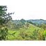  Land for sale in Rionegro, Antioquia, Rionegro