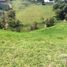  Land for sale in Marinilla, Antioquia, Marinilla