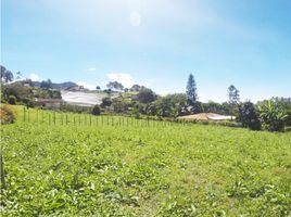  Land for sale in El Carmen De Viboral, Antioquia, El Carmen De Viboral