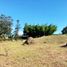  Land for sale in Rionegro, Antioquia, Rionegro