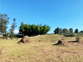  Land for sale in Rionegro, Antioquia, Rionegro