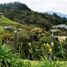  Grundstück zu verkaufen in Rionegro, Antioquia, Rionegro, Antioquia, Kolumbien