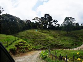  Grundstück zu verkaufen in Rionegro, Antioquia, Rionegro, Antioquia, Kolumbien
