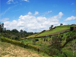  Land for sale in El Carmen De Viboral, Antioquia, El Carmen De Viboral