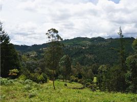  Terreno (Parcela) en venta en Rionegro, Antioquia, Rionegro, Antioquia