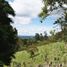  Terreno (Parcela) en venta en Rionegro, Antioquia, Rionegro, Antioquia