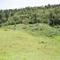  Terreno (Parcela) en venta en Rionegro, Antioquia, Rionegro, Antioquia